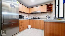 Simsville (D14), Condominium #481344901